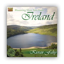 Haunting Slow Airs from Ireland - Kieran Fahy
