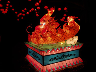 Chinese New Year Dragon